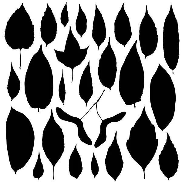 Conjunto de siluetas de hojas aisladas en el vector de fondo blanco — Archivo Imágenes Vectoriales