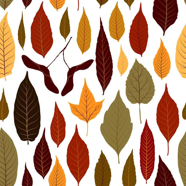 Tło wektor wzór z kolorowe, jesienne liście — Wektor stockowy