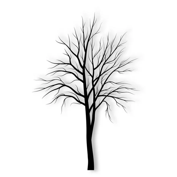 Träd silhouette på vit bakgrund vektor — Stock vektor