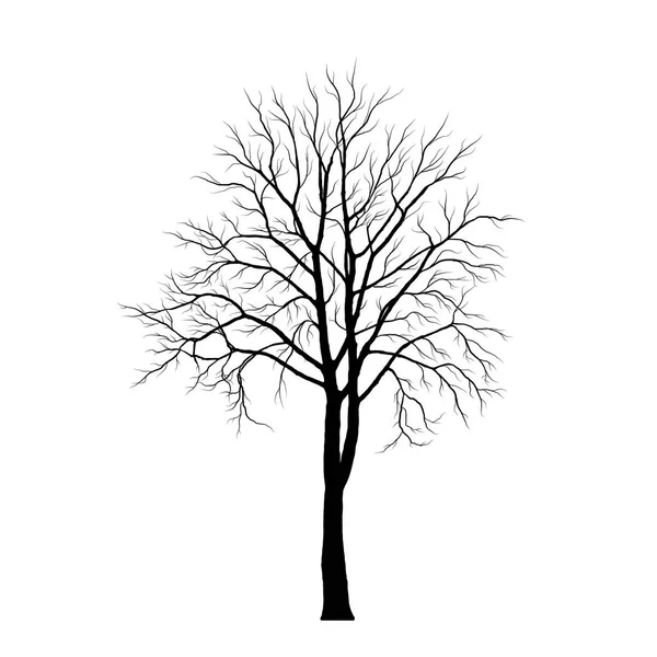 Silueta del árbol en el vector de fondo blanco — Archivo Imágenes Vectoriales