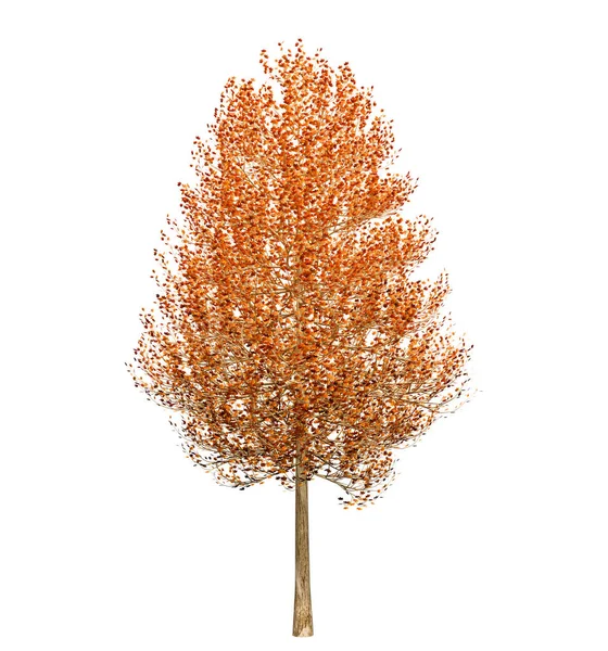 Árbol de otoño con hojas aisladas sobre fondo blanco. Ilustre 3D —  Fotos de Stock