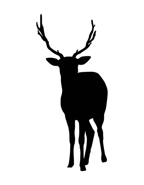 Silhouette d'un cerf aux cornes isolées sur fond blanc — Image vectorielle