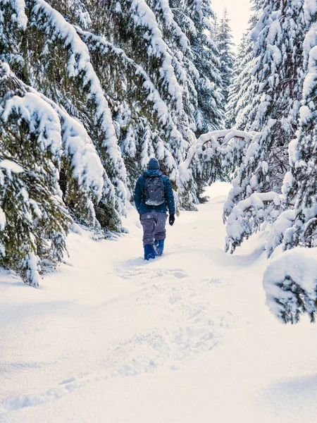 Man wandelen op de winter besneeuwde bossen met rugzak. Reizen, passen — Stockfoto