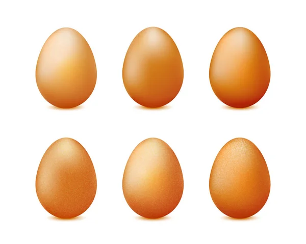Realistic eggs set isolated on white background vector — Stock Vector