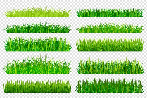 Primavera verde hierba fronteras aisladas sobre fondo transparente . — Vector de stock