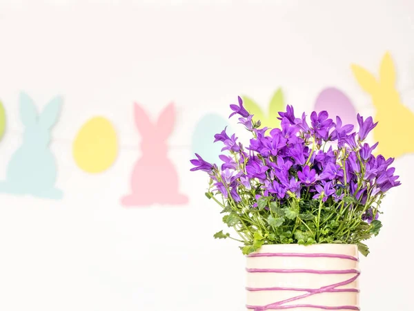 Sfondo pasquale con fiori primaverili — Foto Stock