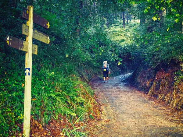 Camino de Santiago yürüyüş sırt çantası ile yalnız Hacı