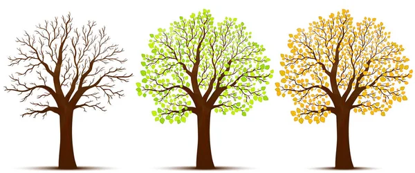 Roční období stromu vektoru — Stockový vektor