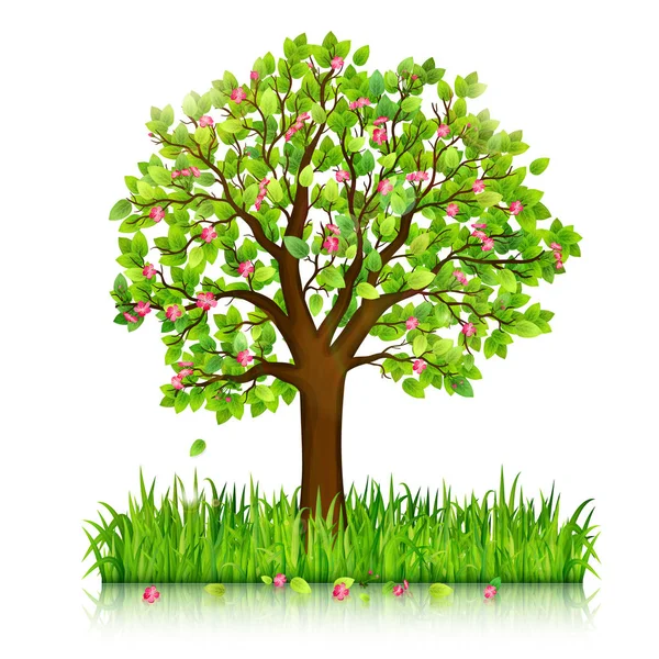 Çiçek açan ağaç ve yeşil çim vektör bahar doğa arka plan