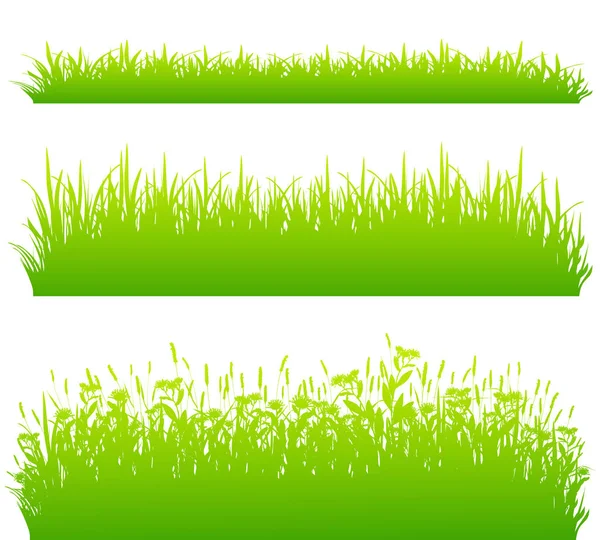 Fronteiras de grama verde isolado no vetor de fundo branco —  Vetores de Stock
