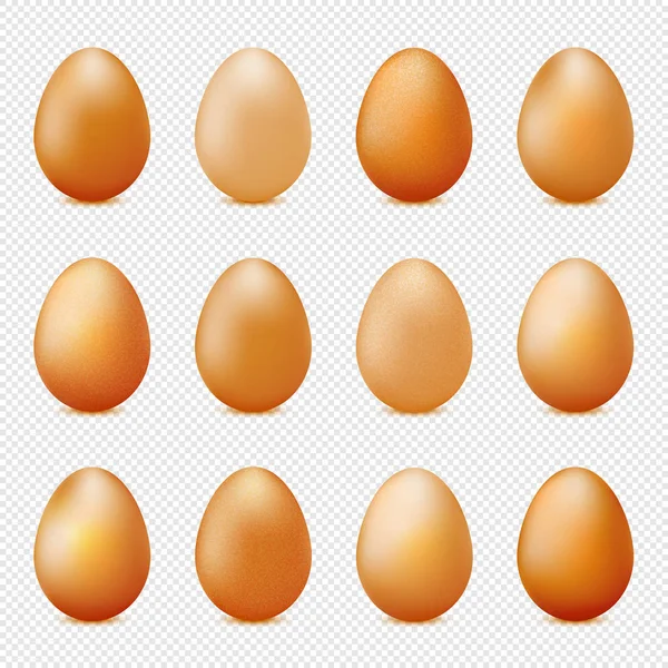 Conjunto vetorial de ovos realistas sobre fundo transparente — Vetor de Stock