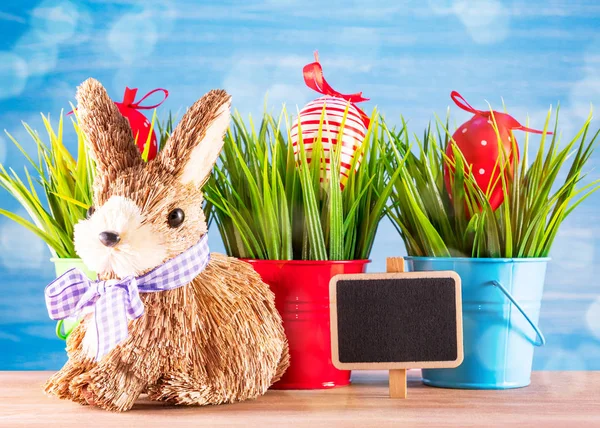 Easter eggs and cute bunny on wood table with green grass. Festive decoration — Stock Photo, Image