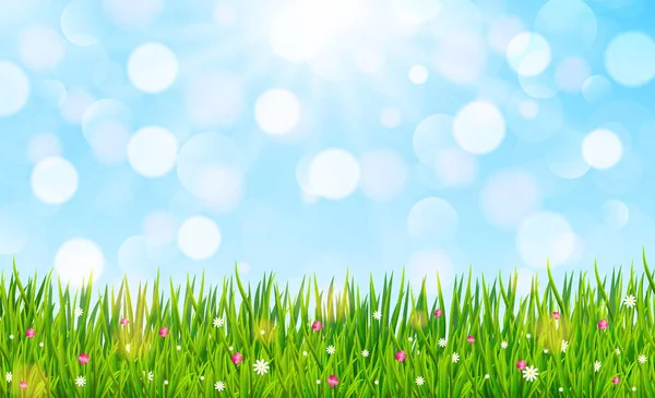 Spring Summer Nature Background Green Grass Flowers Vector Illustration — Stock Vector