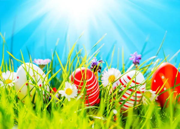 Ostereier Grünen Gras Mit Blumen Blauem Himmel Und Sonne — Stockfoto
