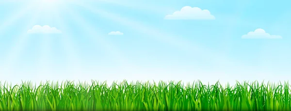 Frühling Natur Hintergrund Mit Grünem Gras Und Blauem Himmel Vektorillustration — Stockvektor