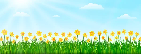Paisaje Natural Primaveral Con Flores Hierba Verde Cielo Azul Ilustración — Vector de stock