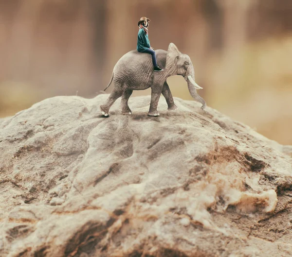 Frau reitet auf einem Elefanten — Stockfoto