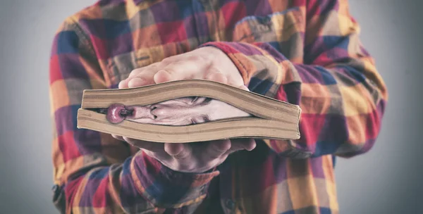 Crushed by the book — Stock Photo, Image