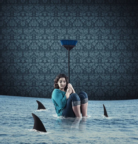 köpekbalığı içinde ev