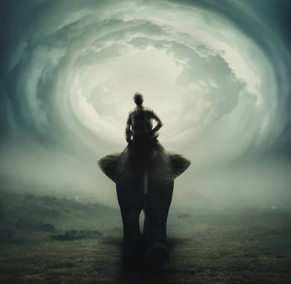 Young Man Riding Elephant Field Portal Sky — Stock Photo, Image