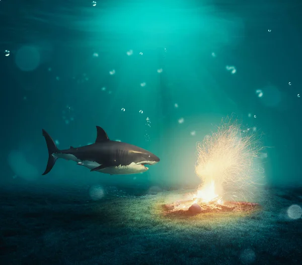 Shark Underwater Front Campfire Make Impossible Possible Concept — Stock Photo, Image
