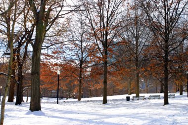 Boston, Massachusetts, ABD 'de kar yağışının stok görüntüsü