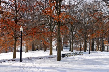 Boston, Massachusetts, ABD 'de kar yağışının stok görüntüsü