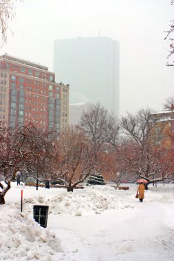 Boston, Massachusetts, ABD 'de kar yağışının stok görüntüsü