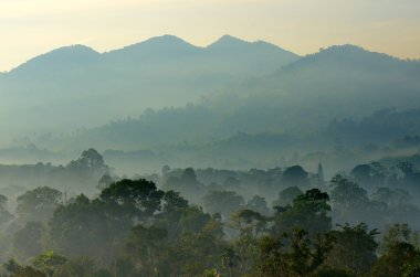 Sisli manzara stok görüntü