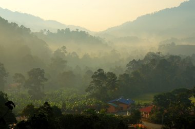 Sisli manzara stok görüntü