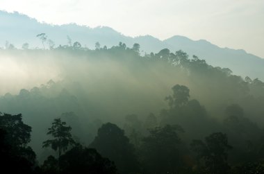 Sisli manzara stok görüntü