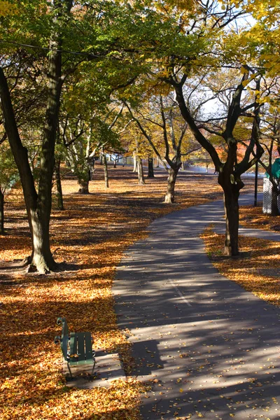 Sonbaharda yapraklar Boston'da stok görüntü — Stok fotoğraf