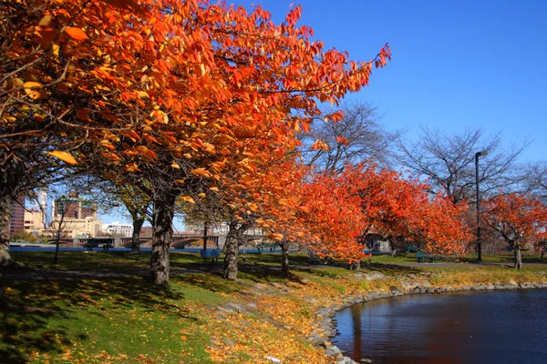 Stock image of fall foliage at Boston — Stock Photo, Image