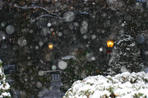 美国马萨诸塞州伯斯顿市冬季下雪时的库存图像 — 图库照片