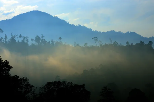 Imagen de stock de paisaje brumoso — Foto de Stock