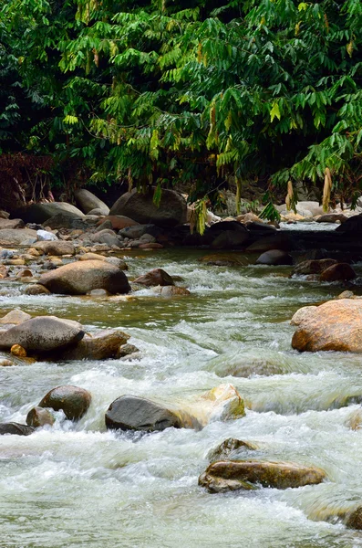 Wasserfall im malaysischen tropischen Dschungel — Stockfoto