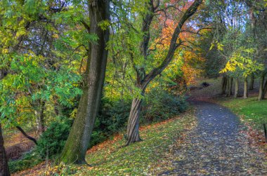 Kelvingrove Park - Glasgow, İskoçya