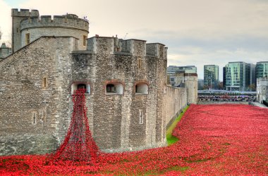 Londra Kulesi ile deniz, kırmızı - 30 Ağustos 2014 - Londra, İngiltere'de ı. Dünya Savaşı düşmüş asker hatırlamak haşhaş