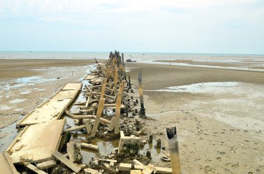 Plaj kirliliği. Plastik şişeler ve deniz sahilindeki diğer çöpler.