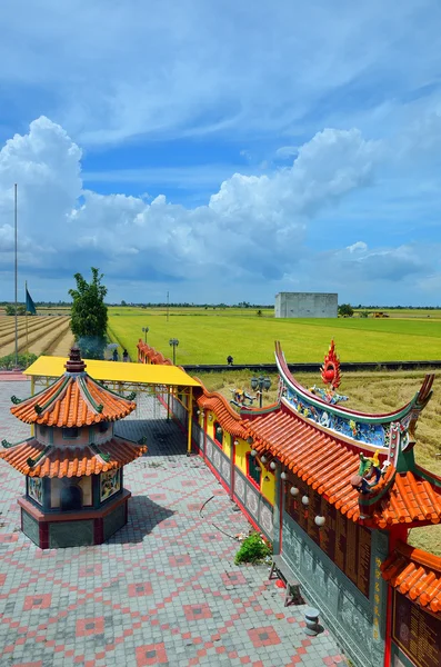 Çince tapınak Sekinchan, Malezya