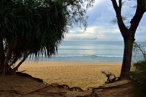 Vacker strand med blå himmel på Mai khao beach, Phuket, Thailand — Stockfoto