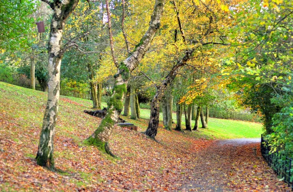 Kelvingrove Park - Glasgow, Scozia — Foto Stock