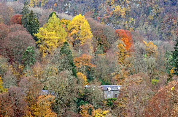 Färgglad vacker utsikt över de skotska högländerna i sommar — Stockfoto