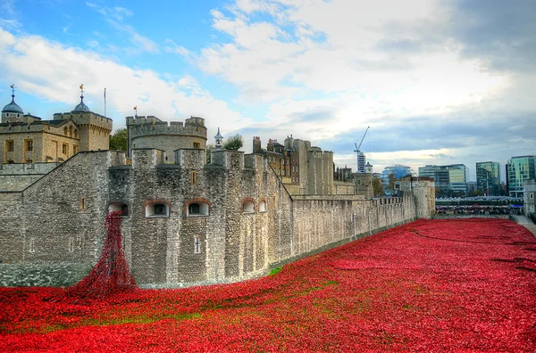 ロンドン塔と海の赤いケシ 2014 年 8 月 30 日 - ロンドン、イギリスの第一次世界大戦の戦没者を覚えている — ストック写真