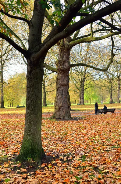 Uma bela vista do St. Jamess Park em Londres durante a primavera — Fotografia de Stock