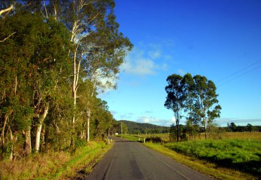 Sunshine Coast, Avustralya