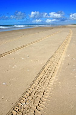 Fraser Island, Avustralya