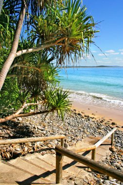 Sunshine Coast, Avustralya