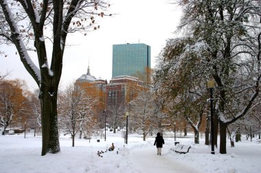 Boston Skyline stok görüntü