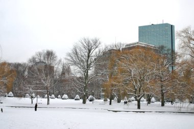 Boston Skyline stok görüntü